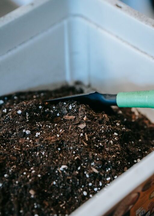 Beginner Tips for Composting at Home: Getting Started Easily