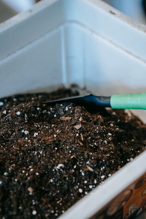 Beginner Tips for Composting at Home: Getting Started Easily